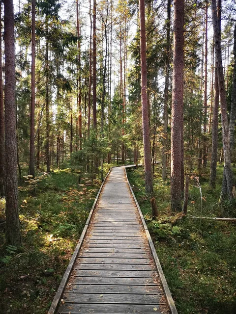 Sõõriksoo loodusrada