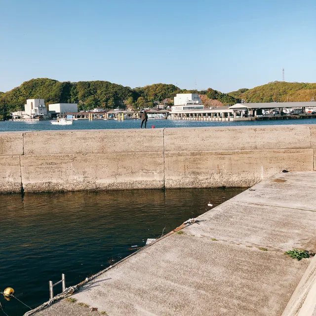 Toyohama Sea Fishing Park