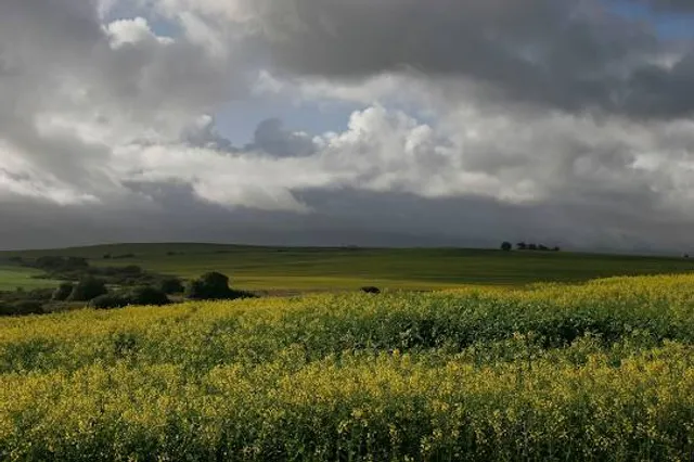 Wellington Farm Park