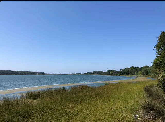 Sarıkum Gölü Tabiatı Koruma Alanı