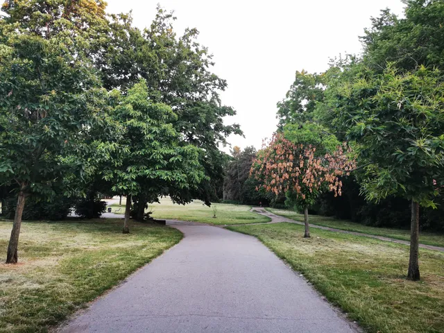 Johannes-Giesberts Park