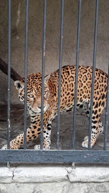 Parque Zoológico El Pinar