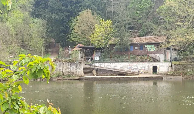 Märchenhain im Huttental