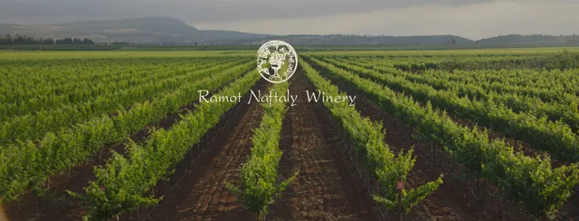 Ramot Naftaly Winery