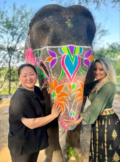 Elefun Elephant - Best Elephant Wildlife Sanctuary in Jaipur