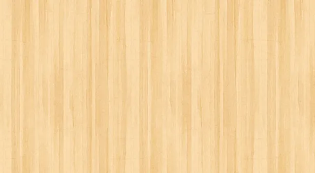 Shizuoka Modern Art Museum