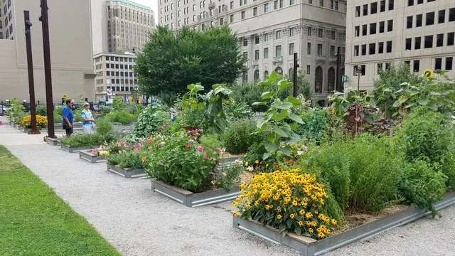 The Greening of Detroit - Lafayette Greens