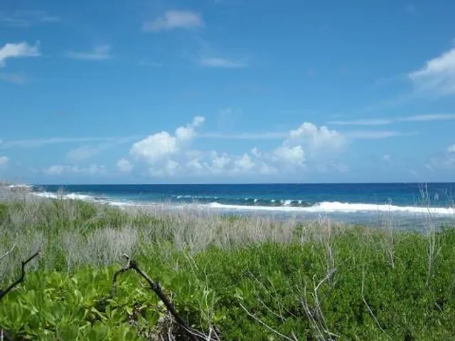 Cowtown Farmers Market