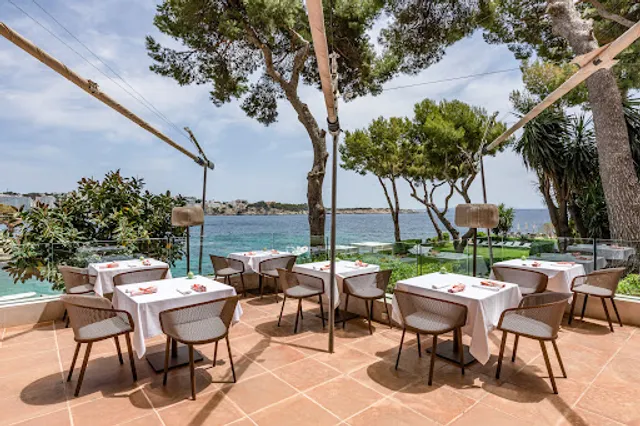 Arrels by Marga Coll