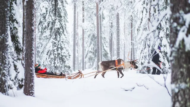 Lapland Safaris Rovaniemi