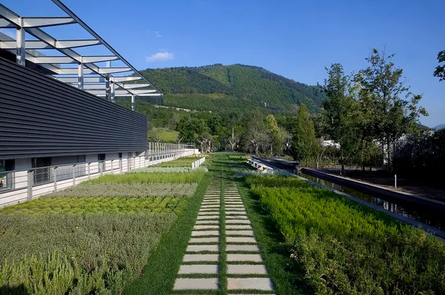 Feudi di San Gregorio - Wine Estate