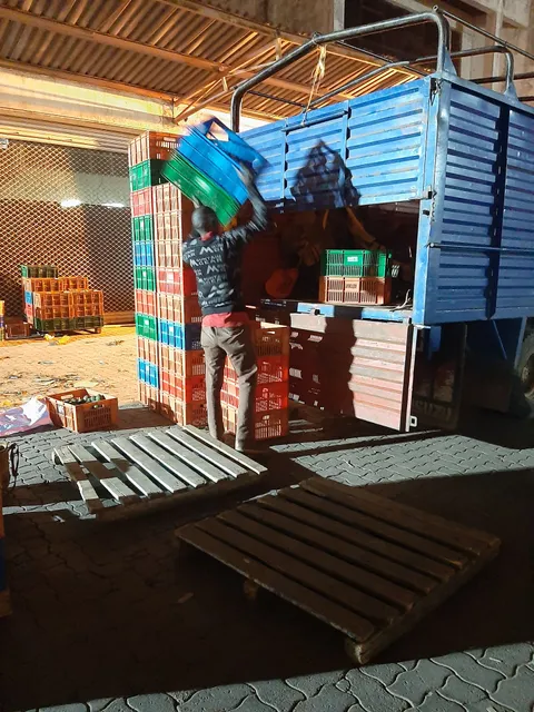 East Africa Growers Ltd