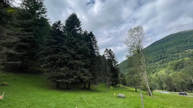 Arboretum de Jouéou