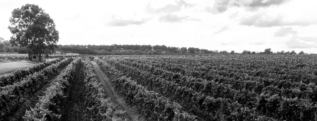 Tamburlaine Organic Wines