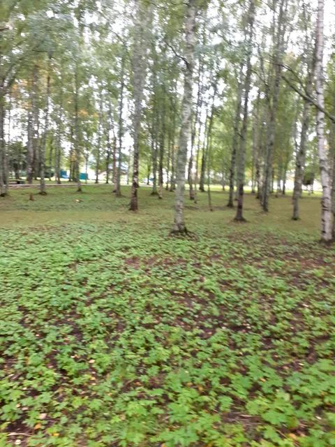 photo-1
