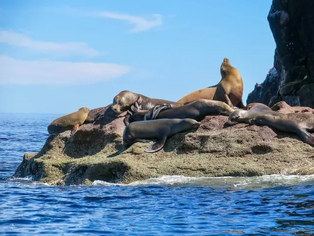 Playa Isla de la Piedra