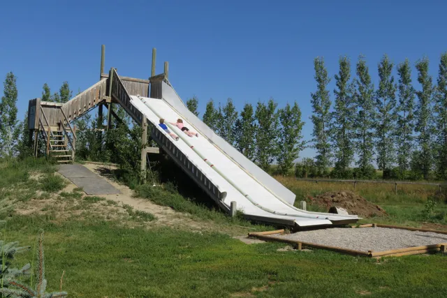 Lethbridge Corn Maze