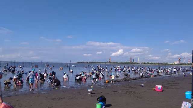 Ushigome Beach Clam Digging Place
