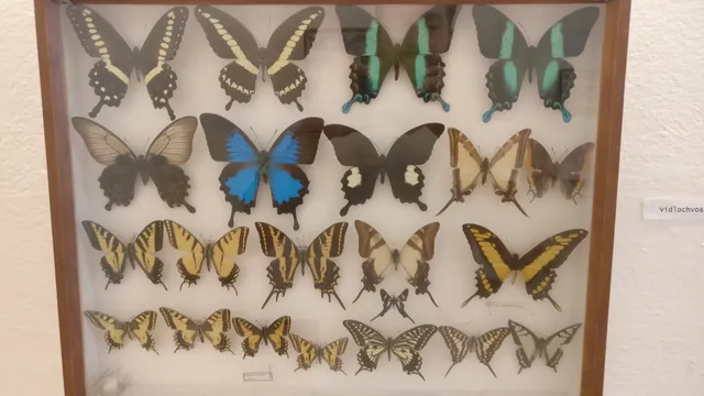 City Museum and Gallery Velky Saris