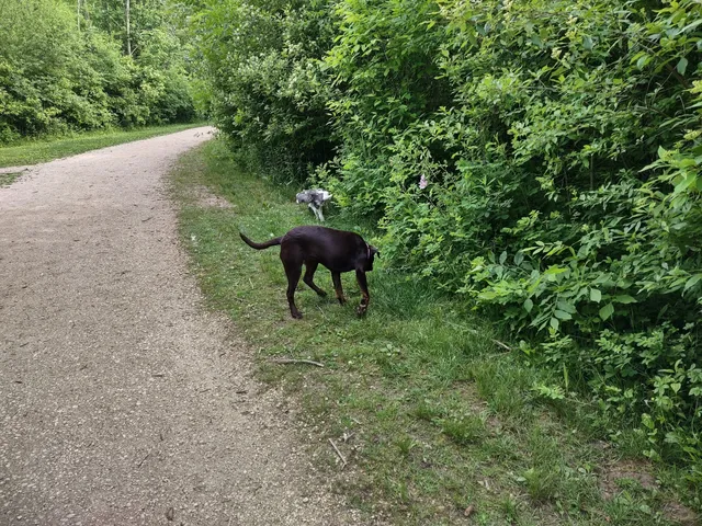 Katherine Kearney Carpenter Park