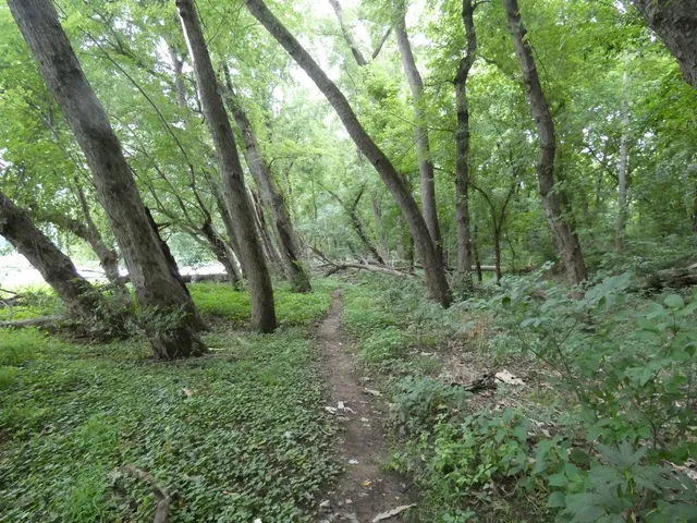 Dickerson Conservation Park