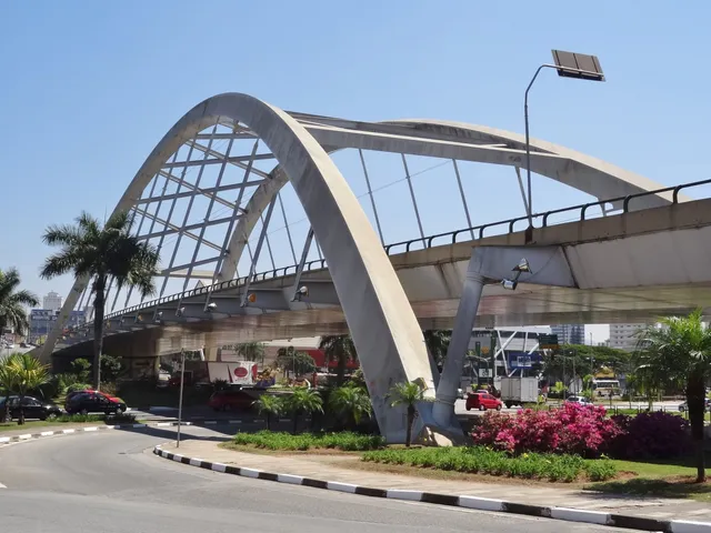Ponte Metalica (Viaduto Reinaldo de Oliveira)