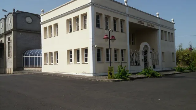 Bodegas Insulares Tenerife S.A.