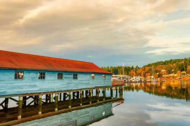 Skansie Brothers Park and Netshed