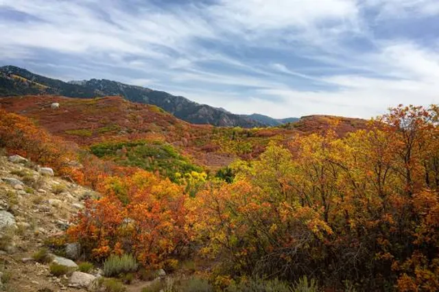 Bell Canyon Granite Trailhead
