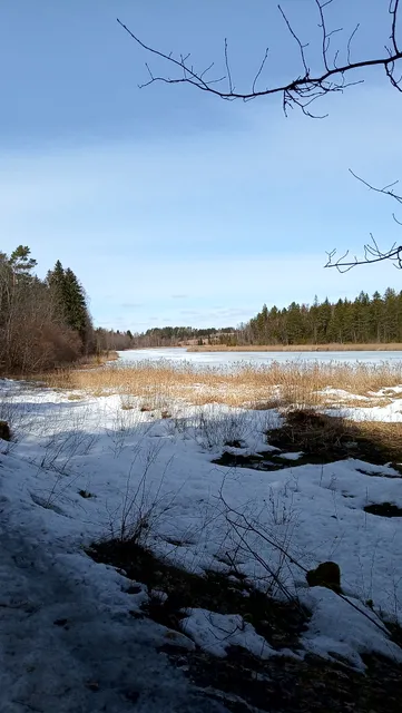 Sinialliku matkarada