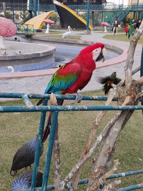 Bird Aviary