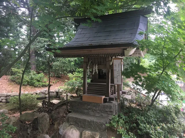 photo-1
