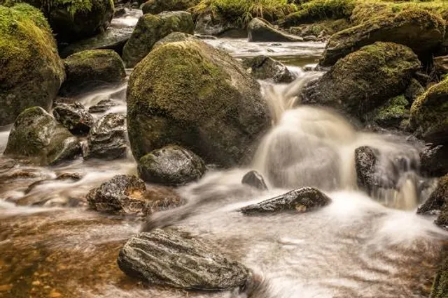 Ardentinny Outdoor Centre