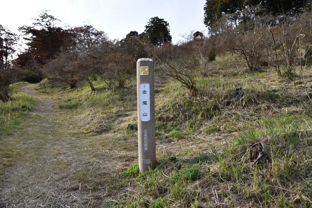 Mt. Kanao Azalea Park