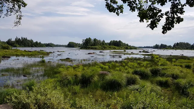 Höö nature reserve