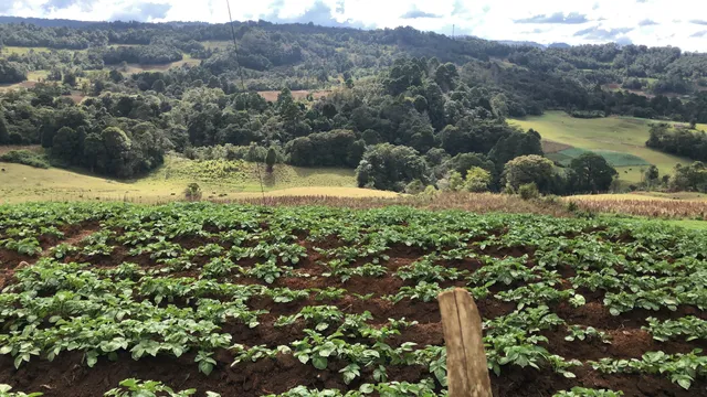 Laguna de Chiligatoro