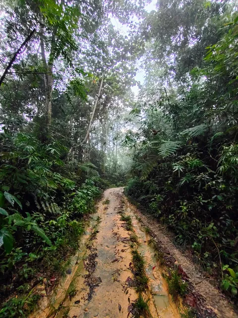 Bukit Lagong Trail Head