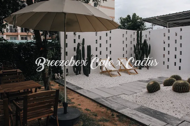 Breezebox cafe x Cactus (บรีซบ็อกซ์คาเฟ่)