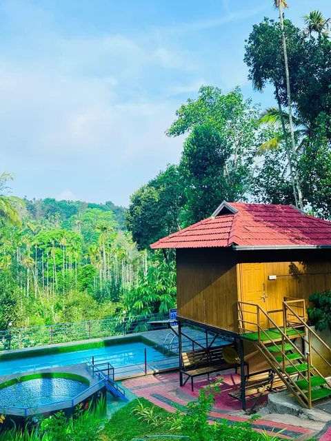 Wayanad Coffee Vintage