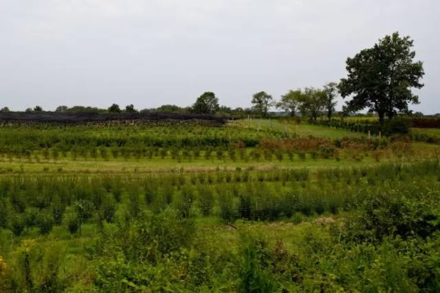 Black River & Western Railroad