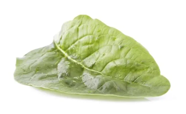 Mishkan Museum of Art