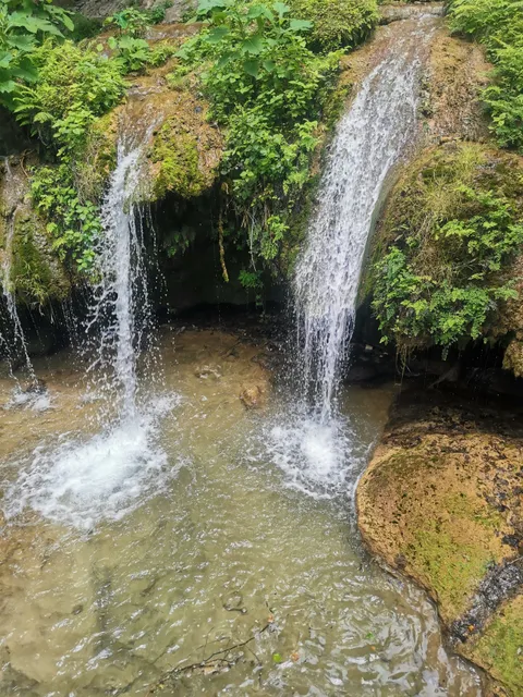 Parques y Vida Silvestre de Nuevo León