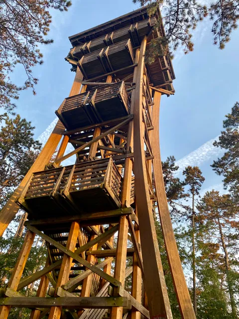 Sörházdombi-kilátó