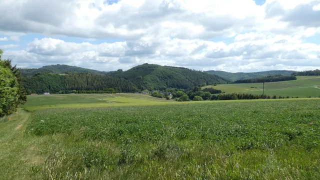 Traumpfad Wanderather