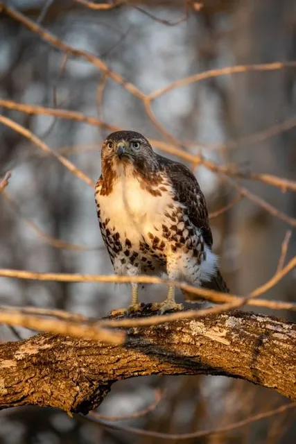 Pennypack Ecological Restoration Trust