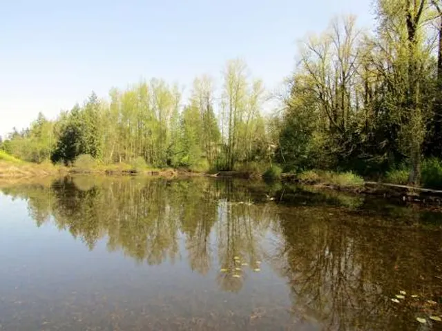 photo-3