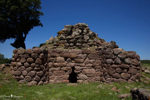 Biddanoa Monteleone/Villanova Monteleone