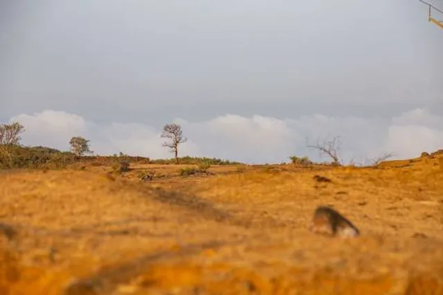 Shri Bhimashankar Jyotirlinga Wildlife Reserve