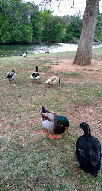 Fredericksburg Nature Center