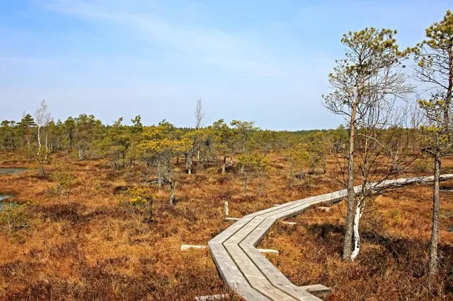 Lielais Kemeru Tirelis